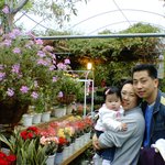<b>허브</b>아일랜드