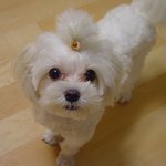 <b>말똥</b>한 눈빛...ㅎㅎ