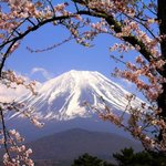 걍 올립<b>니더</b>예5