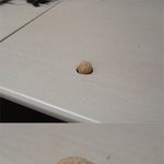 <b>호두</b>까기 실해