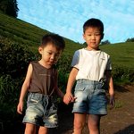 <b>보성</b>차밭에서