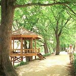 한장씩 올립<b>니더</b>예2