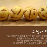 오징어<b>땅콩</b>의 희노애락