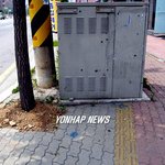 장애우를 대하는 모습 <사진-143> 점자유도블록 위에 설치된 <b>변압기</b>