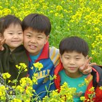 <b>천사들</b>