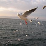 지금 나 찍는<b>고야</b>?