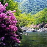 이 세상에 이 것 하나 밖에 없다고 <b>생갇</b>하는 풍경