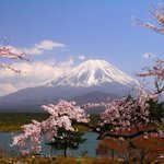 걍 올립<b>니더</b>예6