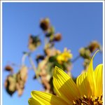 :: 주연 &amp; <b>조연</b> ::