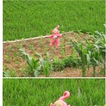 텔레토비 <b>허수</b>아비