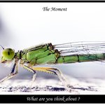 <b>what</b> are you think about