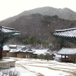 몇장올립<b>니더</b>예6