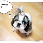 어<b>쭈구리</b>