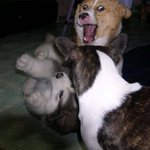 바람<b>피다</b> 걸렸어