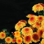 <b>바탕</b>화면14