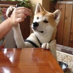 짜장면 내기 <b>한판</b>~!!!!