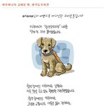 [감동실화] <b>청각</b>도우미견 '나리' 이야기