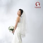 웨딩<b>드레</b>서입은여자스타들