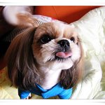 귀연 <b>뭉치</b>*^^*