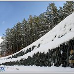 또 올립<b>니더</b>예2