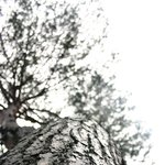 낙산사 <b>조각</b>모으기 02