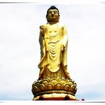 영천 만<b>불사</b>