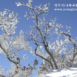 해돋이 <b>사진</b>..<b>바다</b>당..