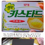 나에게로 다가온 카스<b>타드</b> 애벌레