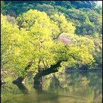 오늘 좀 더 올립<b>니더</b>예2