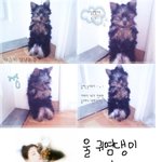 <b>다솜</b>&amp;다은 열혈 강쥐들★