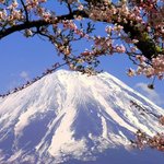 걍 올립<b>니더</b>예8