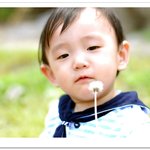 봄바람에 민들레 홀씨날리는 <b>꼬마</b>~