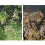 인도네시아 <b>해일</b>참사 전과 후의 위성사진