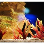 under the <b>sea</b> (4)