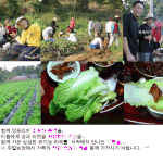 서하남ic주말농장