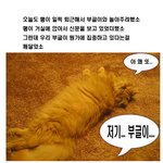 윤은혜 한테 푹 빠져버린 나의 <b>부글</b>이