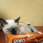 <b>오예</b>스에서 주무셨군요~
