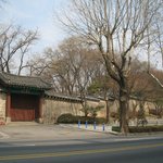 창덕궁 <b>담장</b>곁에 내린햇살