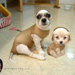 쫄쫄이와 <b>타이즈</b>