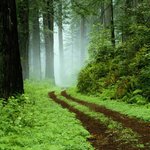 1024_nature_<b>beauty</b>_02_0712