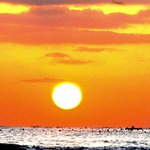 걍 올립<b>니더</b>예3