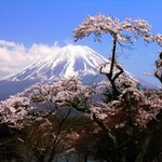 걍 올립<b>니더</b>예10