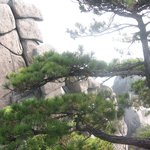 <b>도봉산</b>에 다시 올라21