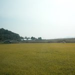 <b>강화</b>도, 가을 즈음
