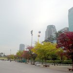 <b>여의도</b> 가을아침