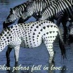 <b>무늬</b>도 개성시대