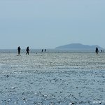 석모도 <b>갯벌</b>