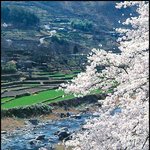 오늘 좀 더 올립<b>니더</b>예5
