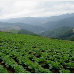 <b>정선</b>의 비경