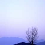 또 올립<b>니더</b>예4